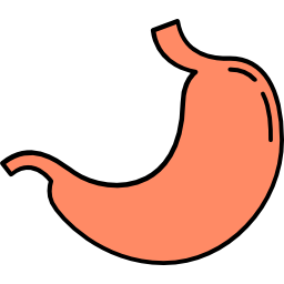 Stomach icon