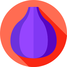 Fig icon