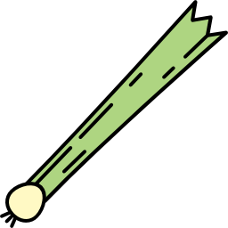 Leek icon