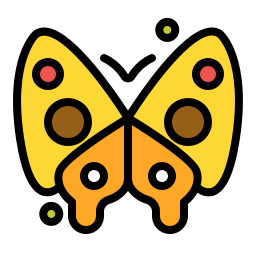 Butterfly icon