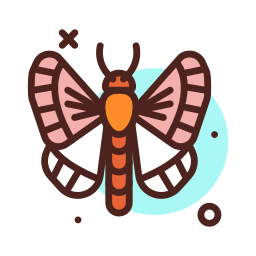 schmetterling icon