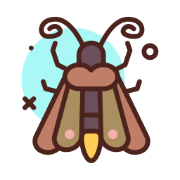 Butterfly icon