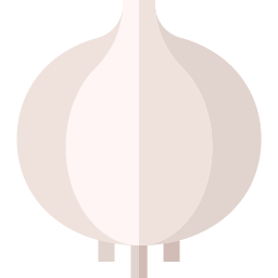 Onion icon