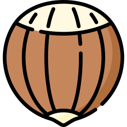 Hazelnut icon