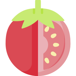 tomate icon