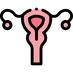 Uterus icon