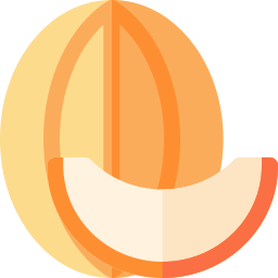 cantaloup-melone icon