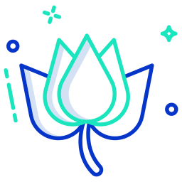 lotus icoon