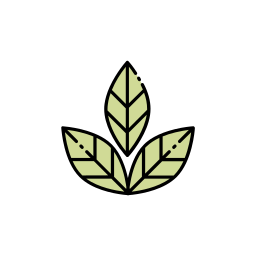 Plant leaf icon