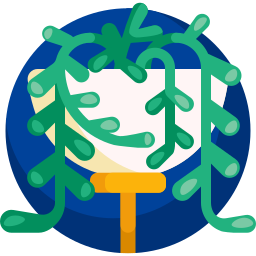 pflanze icon