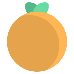 orange icon