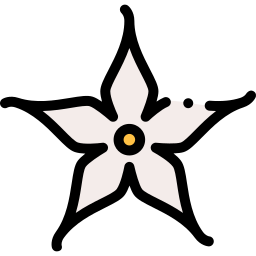 Flower icon