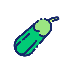 Zucchini icon