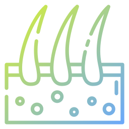 dermathologie Icône