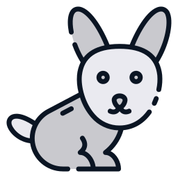 Rabbit icon