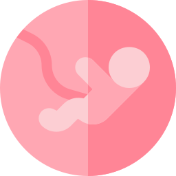 Pregnant icon