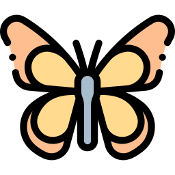 Butterfly icon