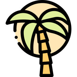 Palm icon