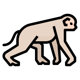 Monkey icon