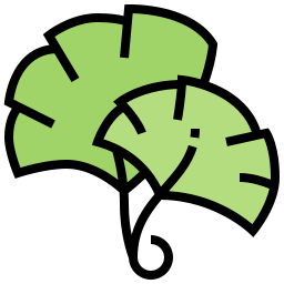 ginkgo icon