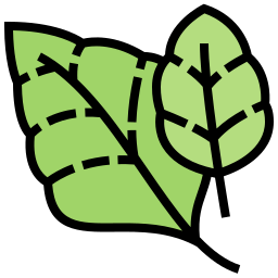 Spinach icon