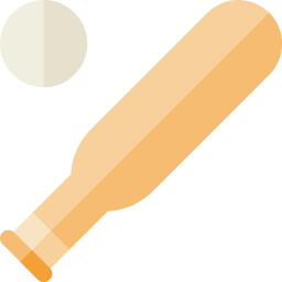 Baseball bat icon