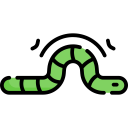 Worm icon