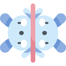 Symmetry icon