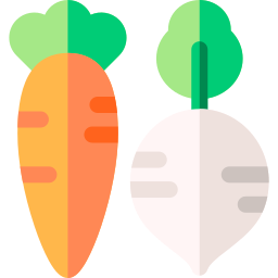 Vegetables icon