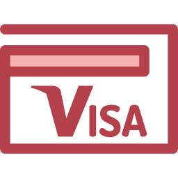 visa icon