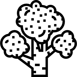 Broccoli icon