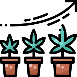 Growing plant icon