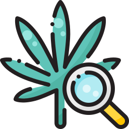 Research icon