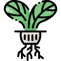 Hydroponic icon