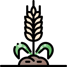 Wheat icon