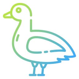 Duck icon