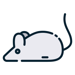 maus icon