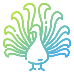 Peacock icon