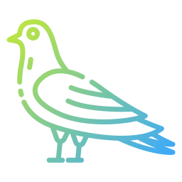 Pigeon icon