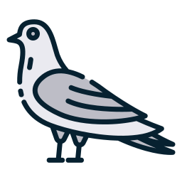 Pigeon icon