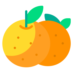 Orange icon