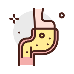 Stomach icon