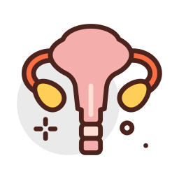 Uterus icon