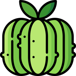 Squash icon