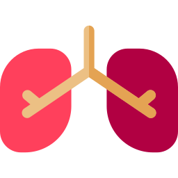 Lungs icon