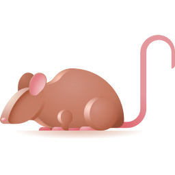 souris Icône