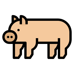 Pig icon