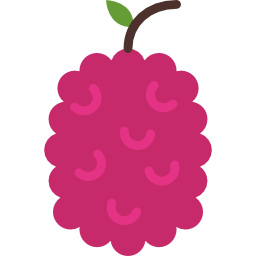 framboise Icône