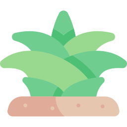 Agave icon