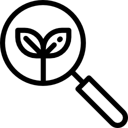 Magnifying glass icon